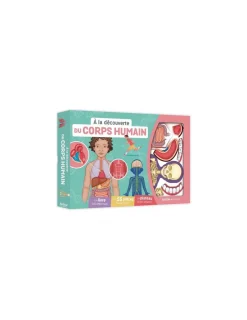 Auzou À la découverte du corps humain -
