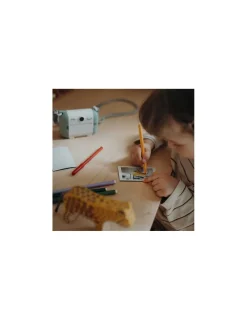 Enfant Kidywolf 5 rouleaux d'autocollants pour Kidyprint -