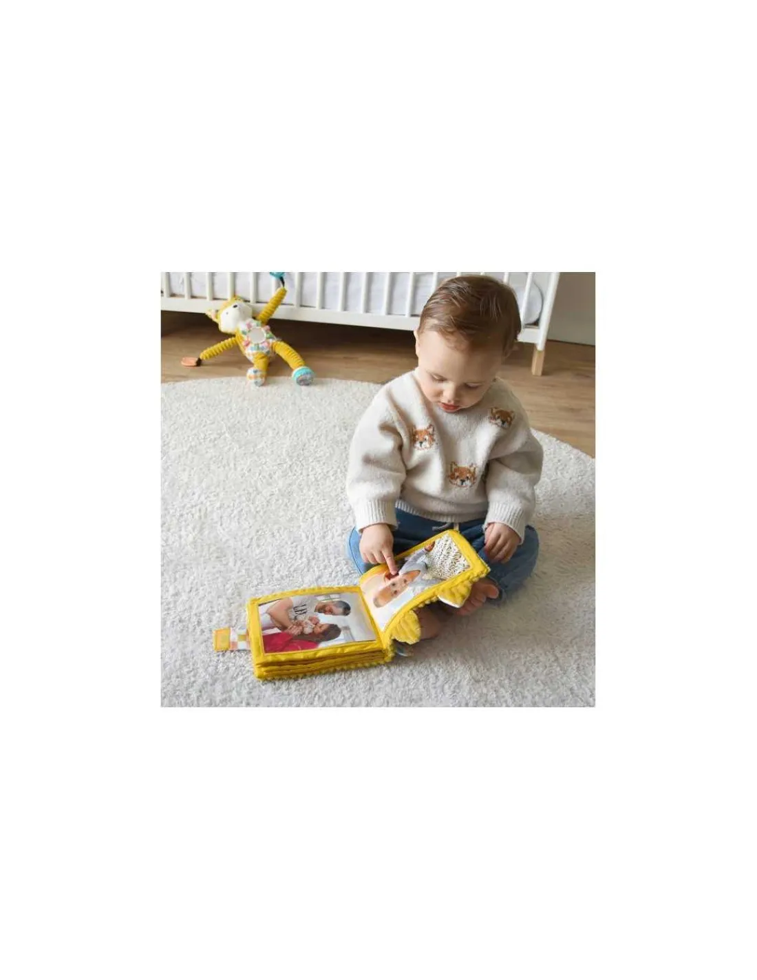 Les Deglingos Album photo Cyranos le renard - Les Déglingos