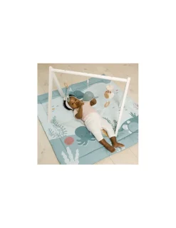 Little Big Friends Arche d'éveil Océan -