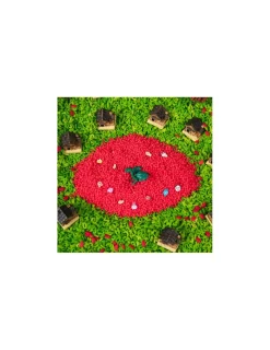 Petit Boum Bouteille sensorielle dragon -