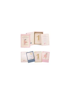 Moulin Roty Cartes Mes 12 premiers mois La petite école de danse -