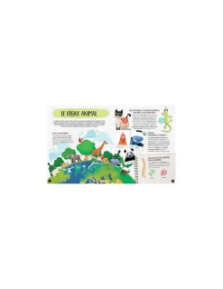 Sassi junior Coffret du méga atlas des animaux - Sassi