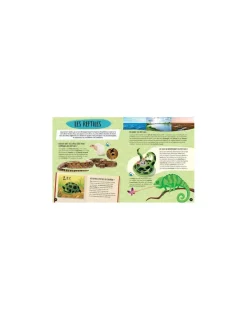 Sassi junior Coffret du méga atlas des animaux - Sassi