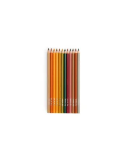 Moulin Roty Crayons de couleur et cartes Animaux Le Jardin du Moulin -