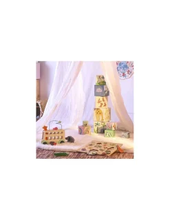 Vilac Cubes gigognes animaux du monde Sarah Betz -