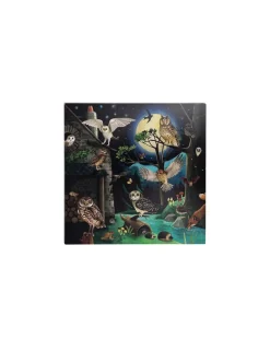 Enfant Moulin Roty Découverte des oiseaux Le Jardin du Moulin -