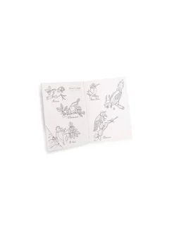 Enfant Moulin Roty Découverte des oiseaux Le Jardin du Moulin -