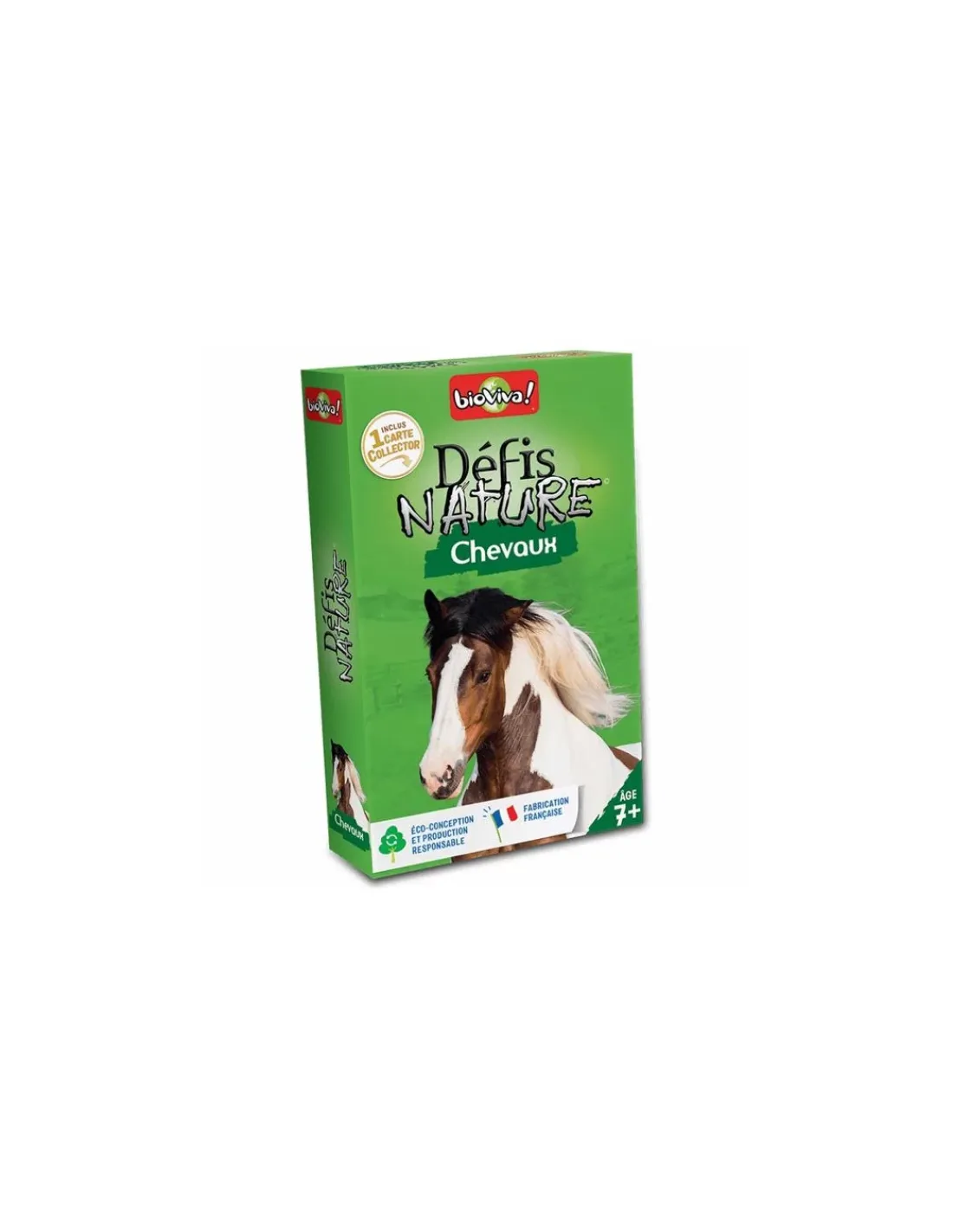 Enfant Bioviva Défis nature Chevaux -