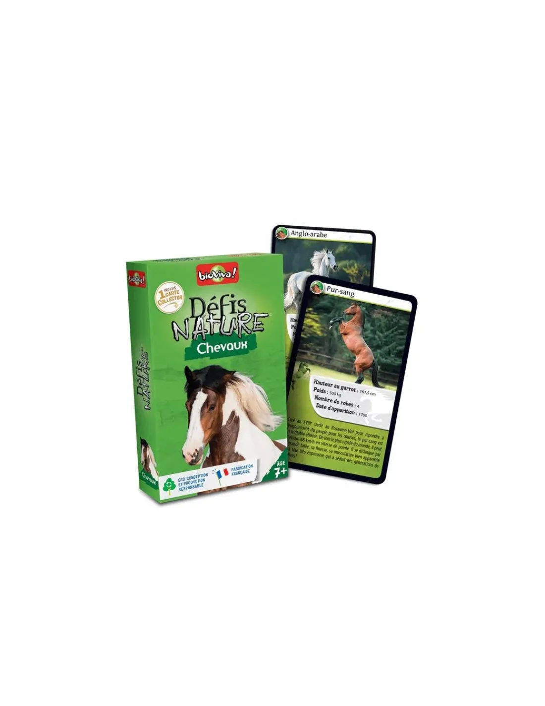 Enfant Bioviva Défis nature Chevaux -