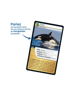 Enfant Bioviva Défis nature 15e Anniversaire -