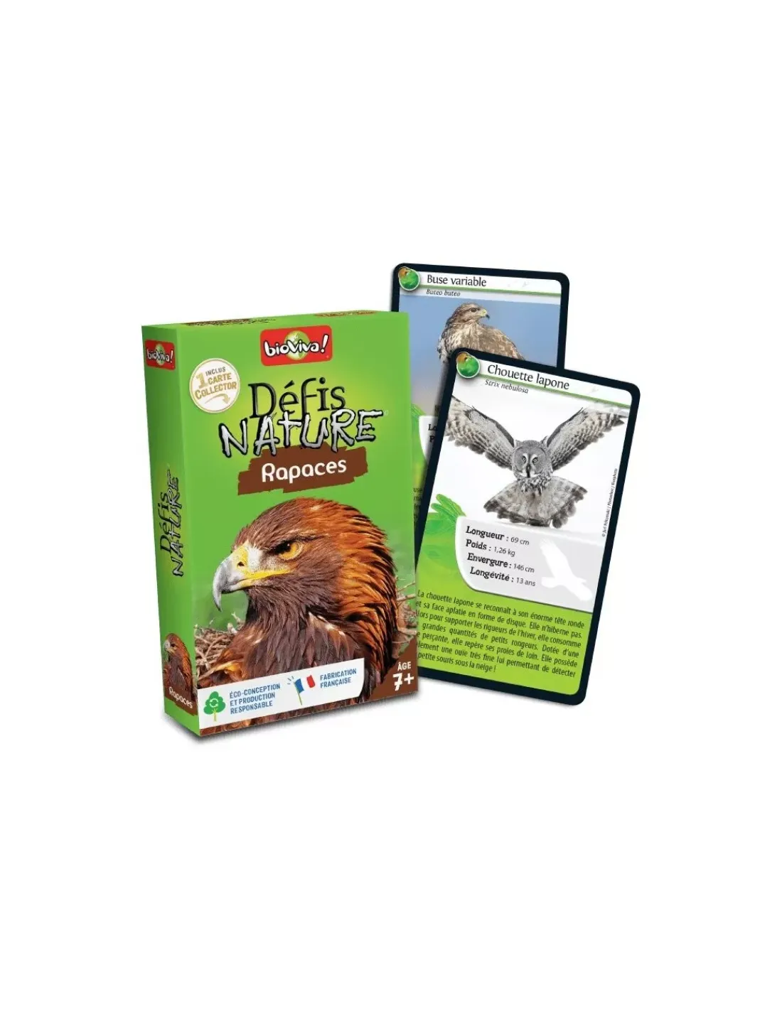 Enfant Bioviva Défis nature rapaces -