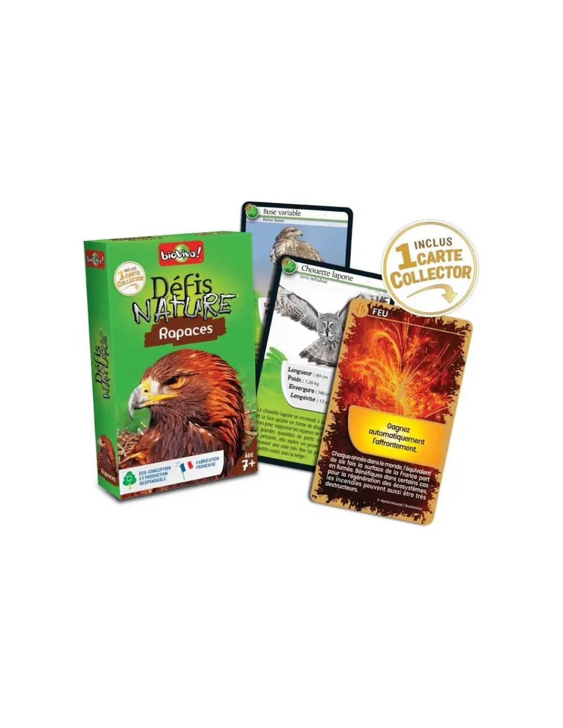 Enfant Bioviva Défis nature rapaces -