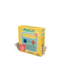 Enfant Merlin Enceinte