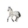 Papo Figurine cheval appaloosa noir -