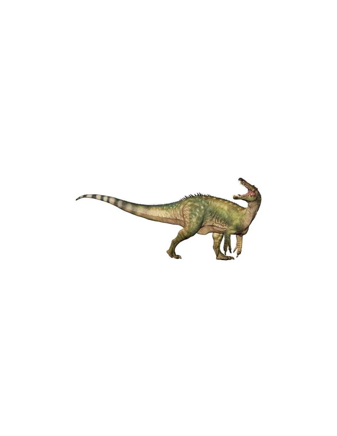 Papo Figurine dinosaure Suchomimus -