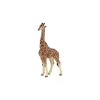 Papo Figurine girafe mâle -