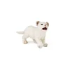 Papo Figurine lionceau blanc -