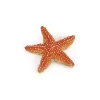 Papo Figurine étoile de mer -