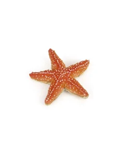 Papo Figurine étoile de mer -