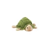 Beleduc Gant marionnette tortue