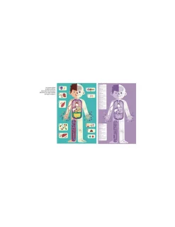 Auzou Je découvre le corps humain -