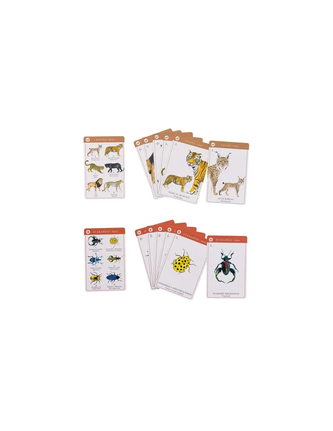 Enfant Moulin Roty Jeu de 7 familles des espèces Tout autour du monde -