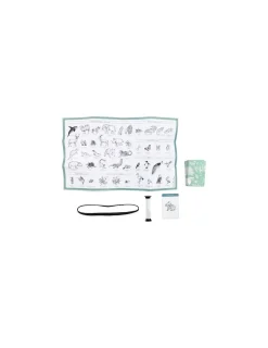 Enfant Moulin Roty Jeu Qui suis je des animaux Tout autour du monde -