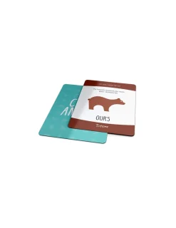 Blackrock Games Jeu Totem