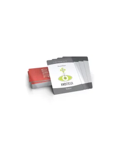 Blackrock Games Jeu Totem