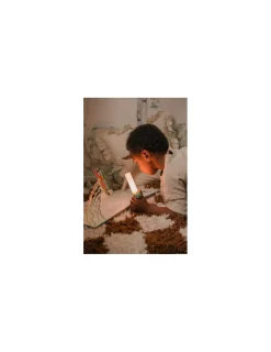 Enfant The Zoofamily Lampe 3-en-1 Zoo Light Dinosaure -