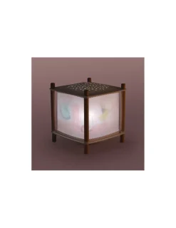 Enfant Moulin Roty Lanterne magique connectée La petite école de danse -