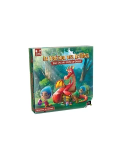 Enfant Gigamic Le trésor des lutins - jeu