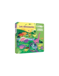 Auzou Livre documentaire cherche et trouve les dinosaures Ludoc -