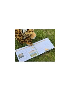 Enfant Etoilium Livret Animaux Sauvages - Étoilium