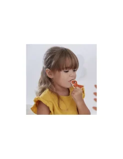 Janod Magnets Dino 24 pièces -