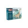 Enfant Graine Creative Maquette 3D mécanique Diplodocus - Graine Créative