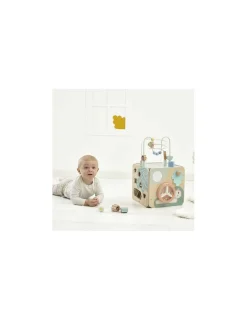 Janod Maxi cube multi-activités Sweet Cocoon -