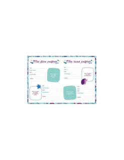 Auzou Mon carnet secret bijou scintillant -