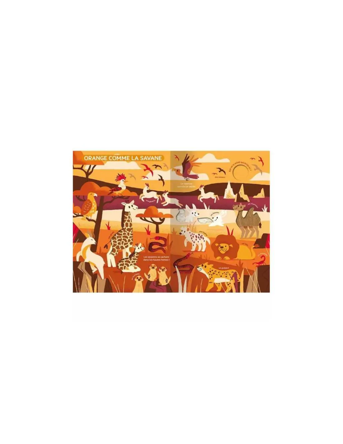 Auzou Mon très grand livre d'éveil Le monde des couleurs -