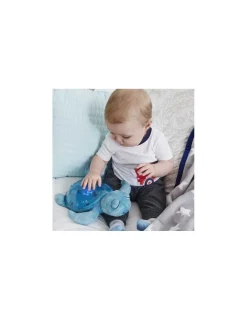 Cloud b Peluche musicale à projections Tranquil turtle aqua rechargeable -