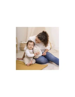 Cloud b Peluche musicale chouette avec détecteur de pleurs -