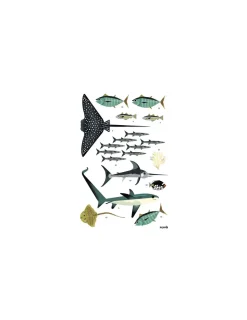 Poppik Poster en stickers océans -