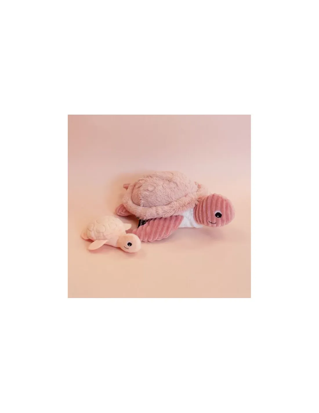 Les Deglingos Sauvenou la tortue rose - Les Ptipotos by Déglingos