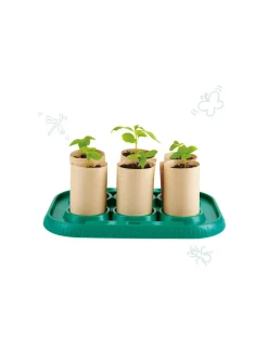 Hape Toys Serre pour appentis jardiniers - Hape