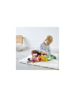 Janod Train géant multicolore zigolos -